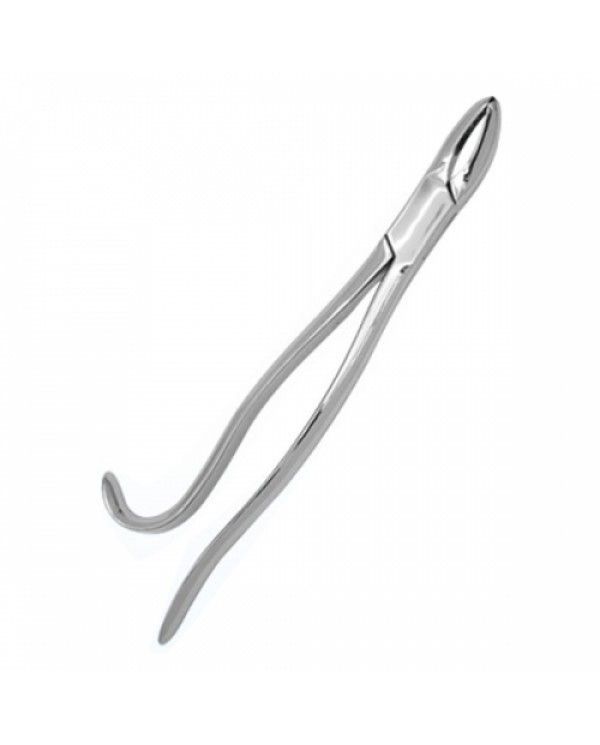 Tooth Forceps (SS)